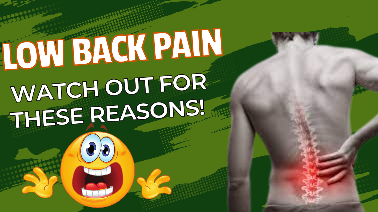 Lower back Pain: 3 BIG Reasons Why! - SOLCORE FITNESS